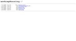 Desktop Screenshot of mwh.mpforest.org